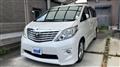 2010 Toyota Alphard G