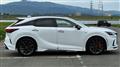 2025 Lexus RX