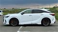 2025 Lexus RX