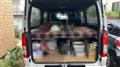 2023 Toyota Hiace Van