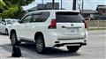 2019 Toyota Land Cruiser Prado