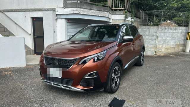 2017 Peugeot Peugoet Others