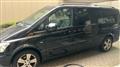 2010 Mercedes-Benz V-Class