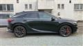 2025 Lexus RX