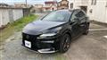 2025 Lexus RX