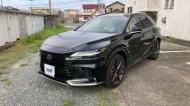2025 Lexus RX