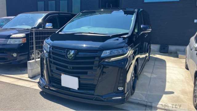 2022 Toyota Alphard G