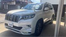 2019 Toyota Land Cruiser Prado