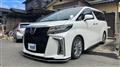 2020 Toyota Alphard G