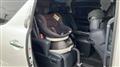 2021 Toyota Alphard G