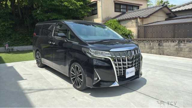 2019 Toyota Alphard G