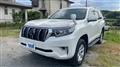 2020 Toyota Land Cruiser Prado