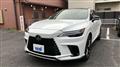 2025 Lexus RX