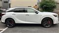 2025 Lexus RX