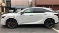 2025 Lexus RX