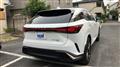 2025 Lexus RX