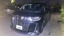 2021 Toyota Alphard G
