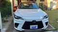 2025 Lexus RX