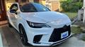 2025 Lexus RX