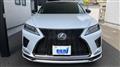 2021 Lexus RX