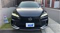 2025 Lexus RX