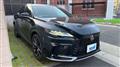 2025 Lexus RX