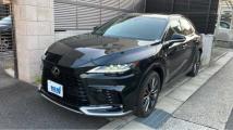 2025 Lexus RX