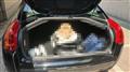 2010 Citroen C6