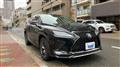 2021 Lexus RX
