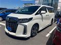 2020 Toyota Alphard G