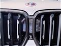 2021 BMW X6