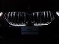 2023 BMW X6