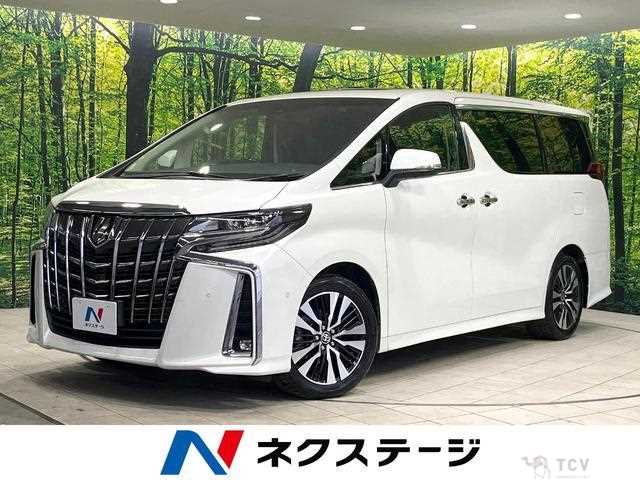 2020 Toyota Alphard G