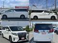 2016 Toyota Alphard G