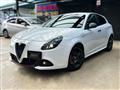 2019 Alfa Romeo Alfa Romeo Others