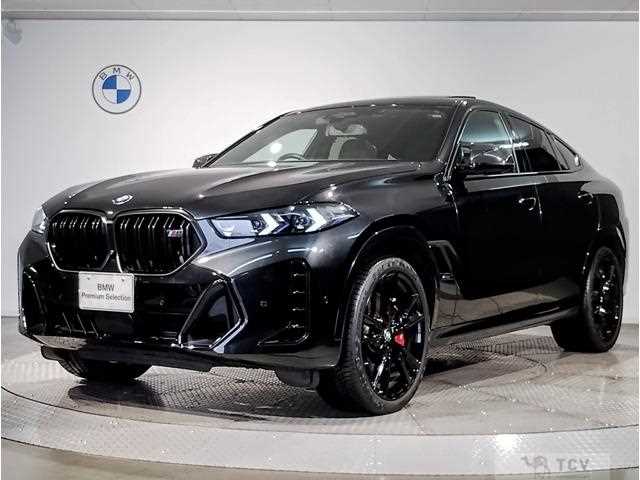 2023 BMW X6