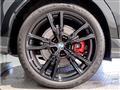 2023 BMW X6