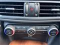 2019 Alfa Romeo Alfa Romeo Others