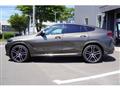 2022 BMW X6