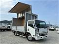 2019 Isuzu Elf Truck