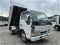 1999 Isuzu Elf Truck