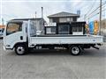2019 Isuzu Elf Truck