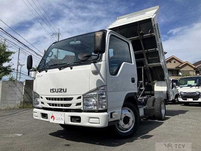 2019 Isuzu Elf Truck
