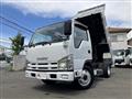 2011 Isuzu Elf Truck