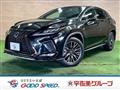 2020 Lexus RX
