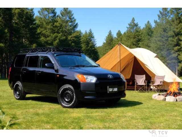 2016 Toyota Probox Van