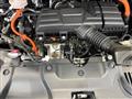 2025 Honda Step WGN