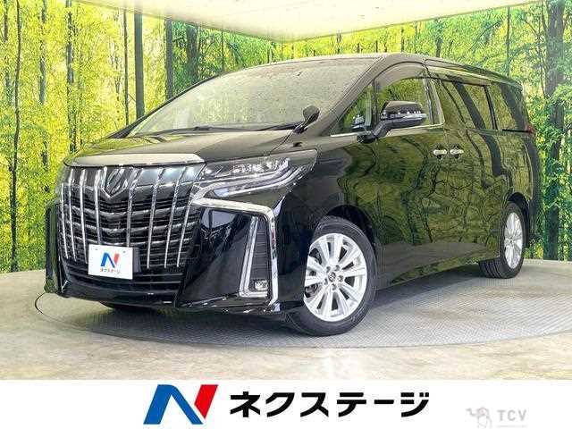 2019 Toyota Alphard G