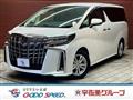 2019 Toyota Alphard G
