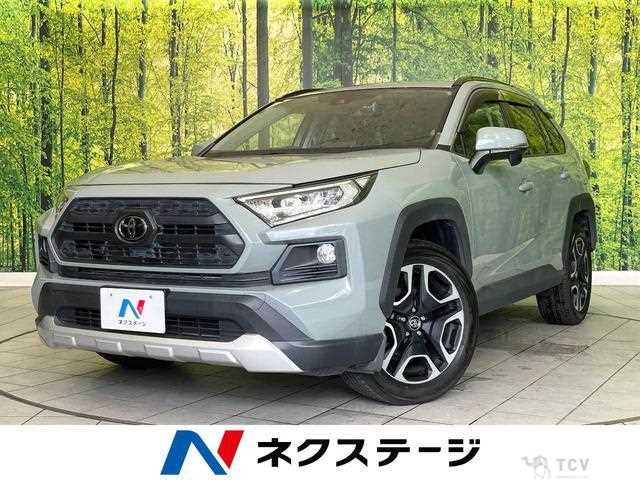 2019 Toyota RAV4